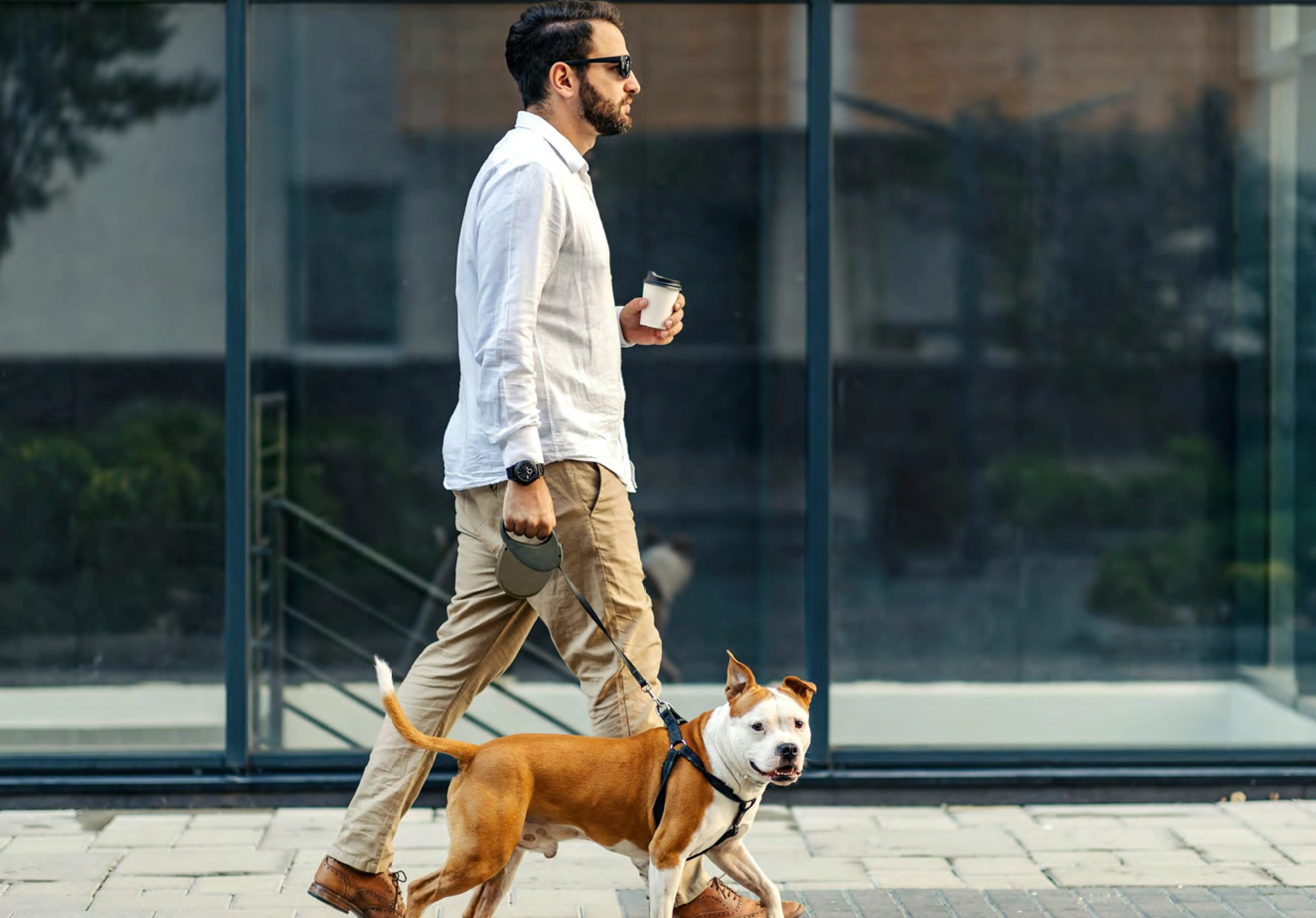 Resident walking dog at Veridea in front of glass storefronts